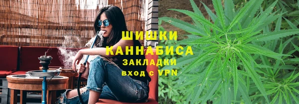 соль ск Вязьма