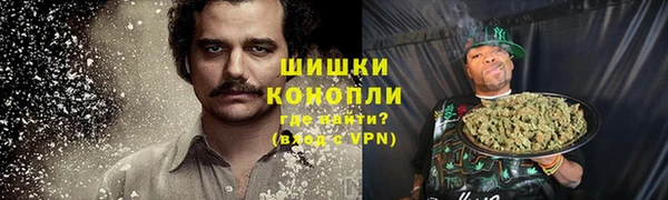 PSILOCYBIN Снежногорск