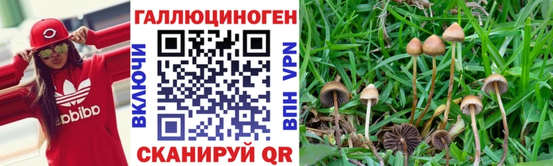 Галлюциногенные грибы мицелий  Калач-на-Дону 